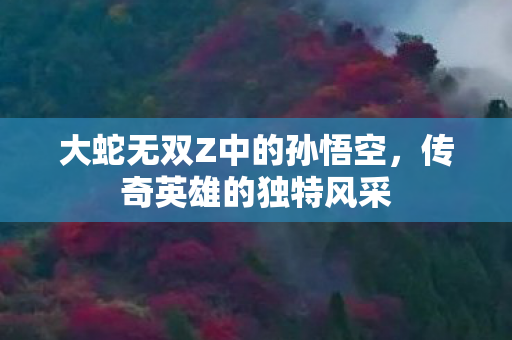 大蛇无双Z中的孙悟空图片