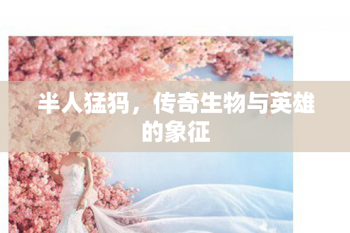 传奇生物与英雄的象征图片