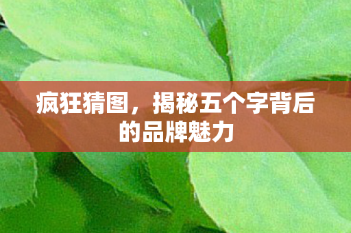 揭秘五个字背后的品牌魅力图片
