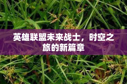 英雄联盟未来战士图片