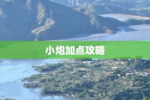小炮加点攻略图片