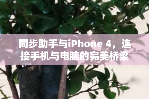 同步助手与iPhone 4图片