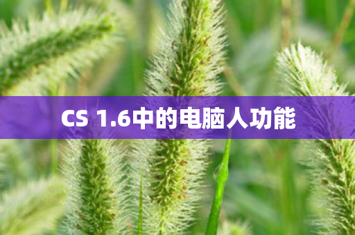 6中的电脑人功能图片