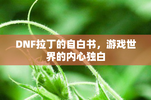 DNF拉丁的自白书图片