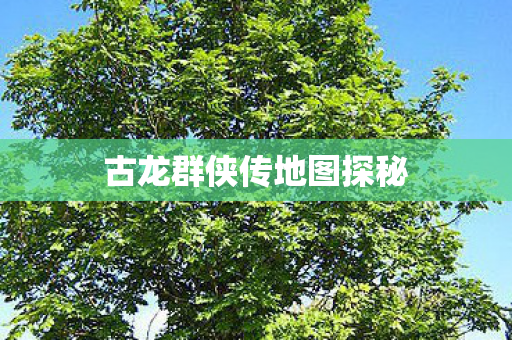 古龙群侠传地图探秘图片