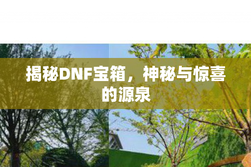 神秘与惊喜的源泉图片