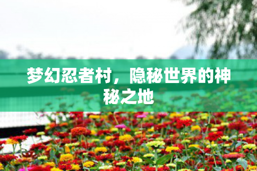 隐秘世界的神秘之地图片