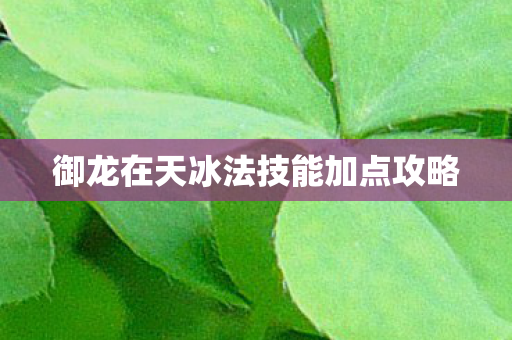 御龙在天冰法技能加点攻略图片
