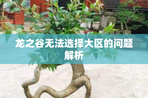 龙之谷无法选择大区的问题解析图片