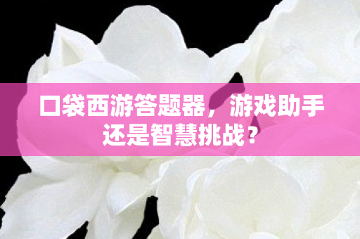 游戏助手还是智慧挑战图片