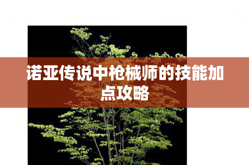 诺亚传说中枪械师的技能加点攻略图片
