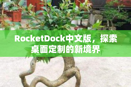 RocketDock中文版图片
