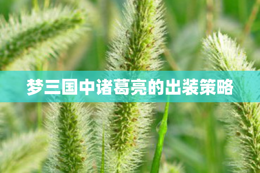 梦三国中诸葛亮的出装策略图片