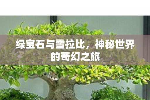 神秘世界的奇幻之旅图片