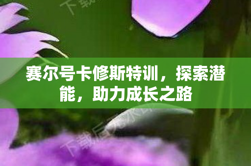 赛尔号卡修斯特训图片