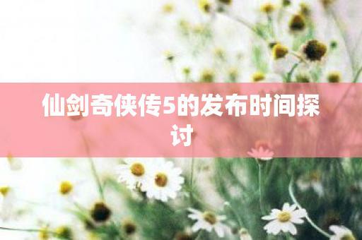 仙剑奇侠传5的发布时间探讨图片