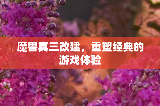 重塑经典的游戏体验图片