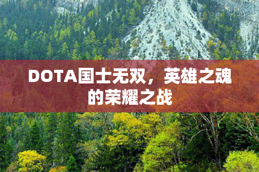 英雄之魂的荣耀之战图片