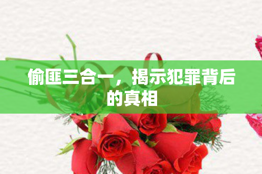 揭示犯罪背后的真相图片