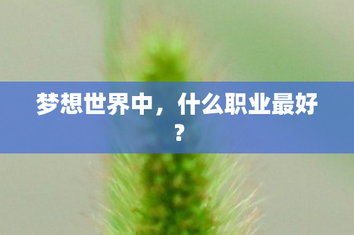 什么职业最好图片