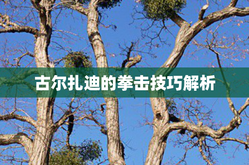 古尔扎迪的拳击技巧解析图片