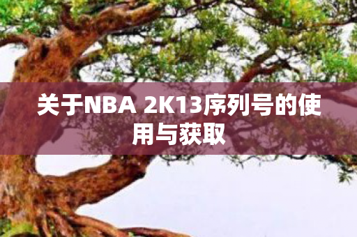关于NBA 2K13序列号的使用与获取图片