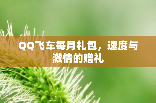 QQ飞车每月礼包图片