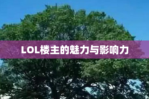 LOL楼主的魅力与影响力图片