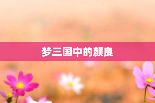 梦三国中的颜良图片