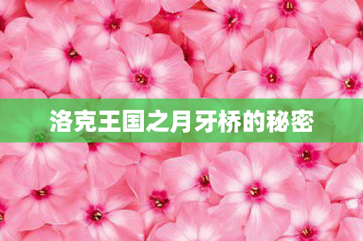 洛克王国之月牙桥的秘密图片