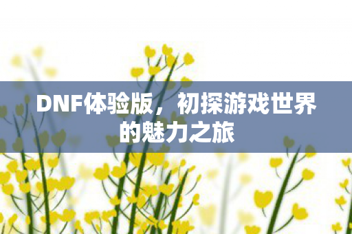 初探游戏世界的魅力之旅图片