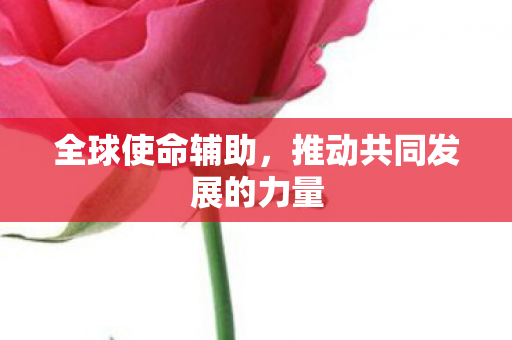 推动共同发展的力量图片
