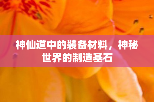 神仙道中的装备材料图片