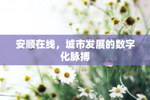 城市发展的数字化脉搏图片