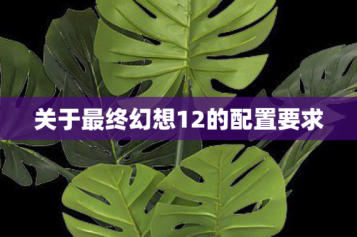 关于最终幻想12的配置要求图片