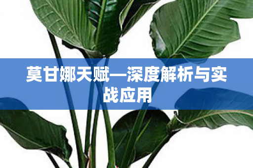 深度解析与实战应用图片
