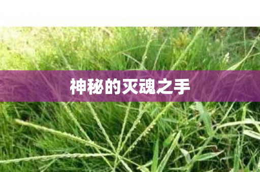 神秘的灭魂之手图片
