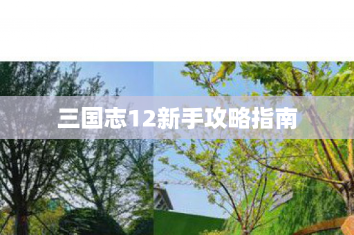 三国志12新手攻略指南图片