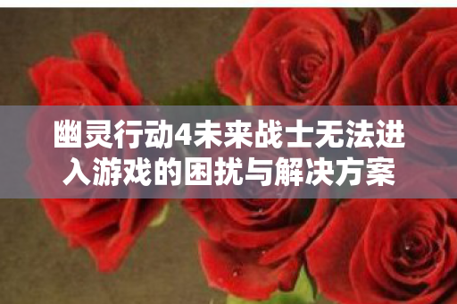 幽灵行动4未来战士无法进入游戏的困扰与解决方案图片