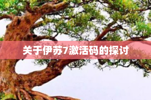 关于伊苏7激活码的探讨图片
