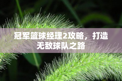 冠军篮球经理2攻略图片