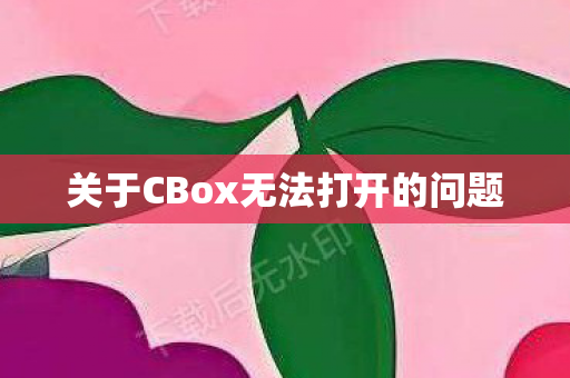 关于CBox无法打开的问题图片