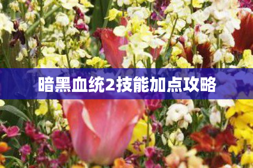 暗黑血统2技能加点攻略图片