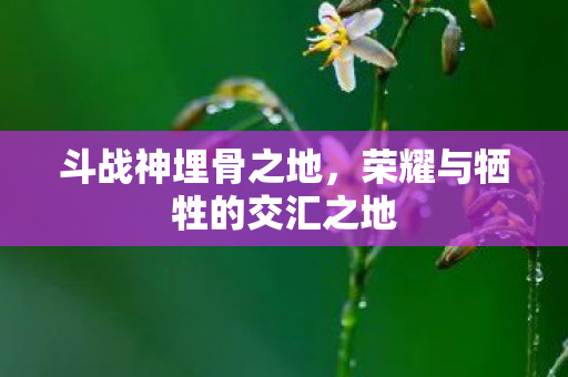 荣耀与牺牲的交汇之地图片