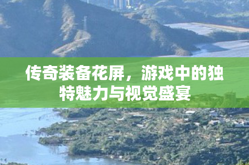 游戏中的独特魅力与视觉盛宴图片
