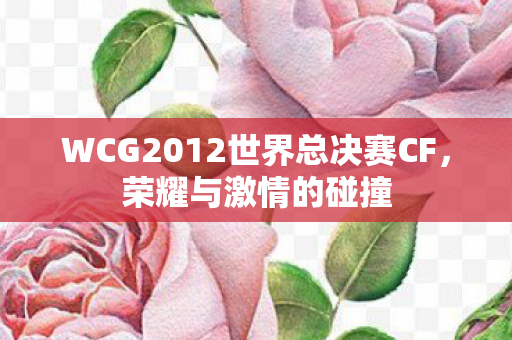 WCG2012世界总决赛CF图片