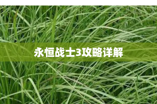永恒战士3攻略详解图片