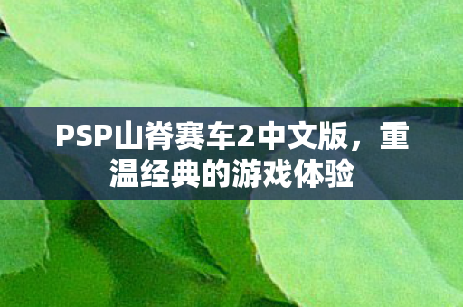 PSP山脊赛车2中文版图片