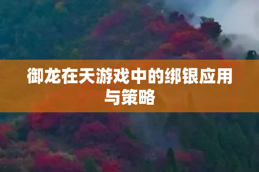 御龙在天游戏中的绑银应用与策略图片