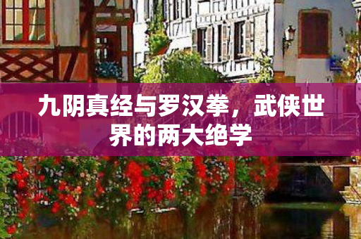 武侠世界的两大绝学图片